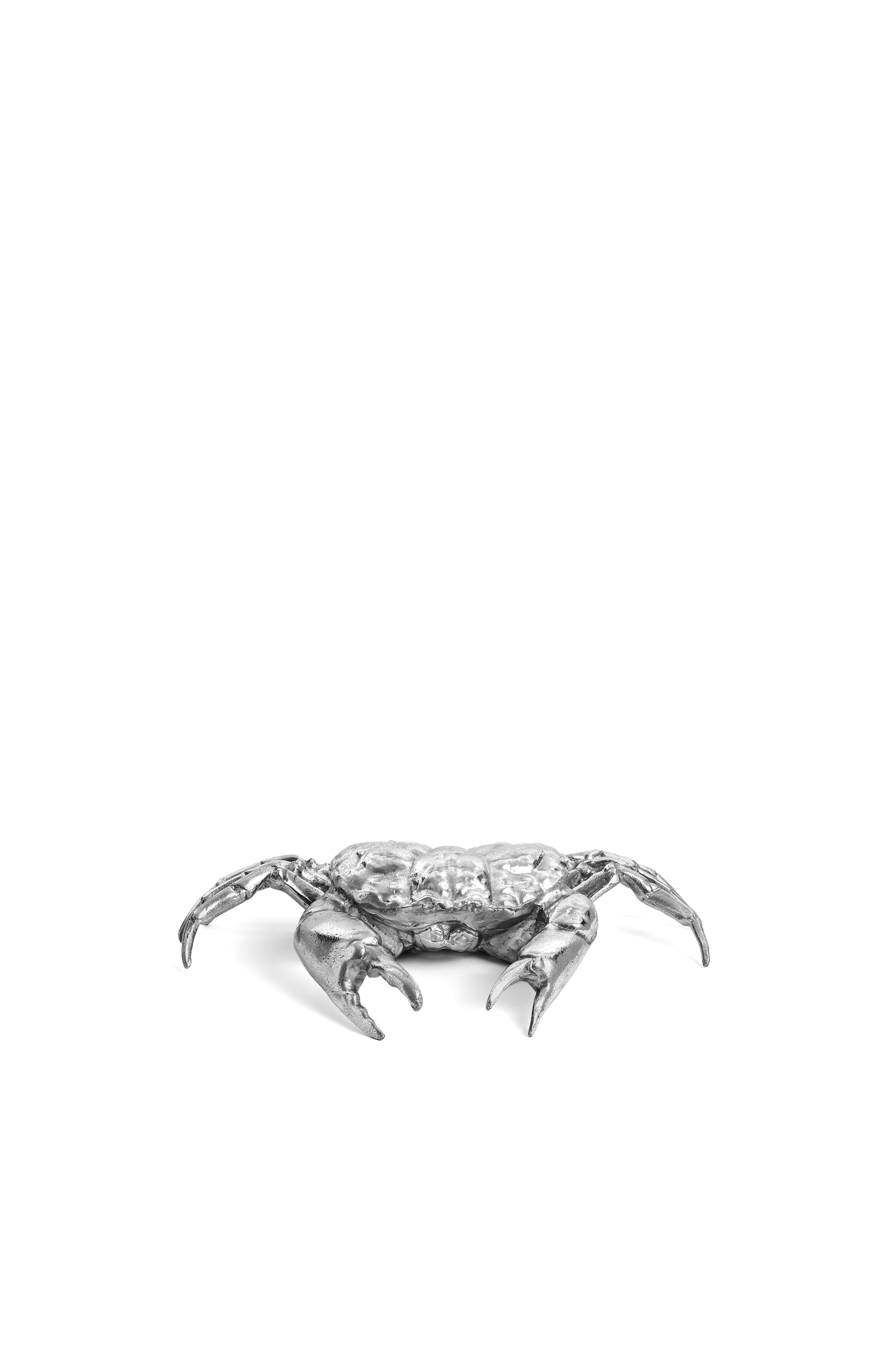 10897 WUNDERKAMMER, Silver - Home Accessories