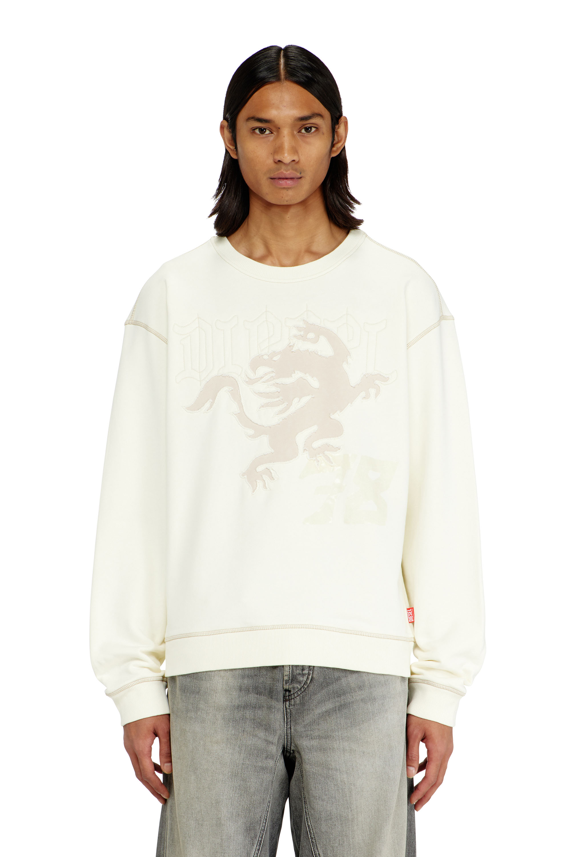 Diesel - S-NORM-AA3, Man's Sweatshirt with embroidery and print in null - 1