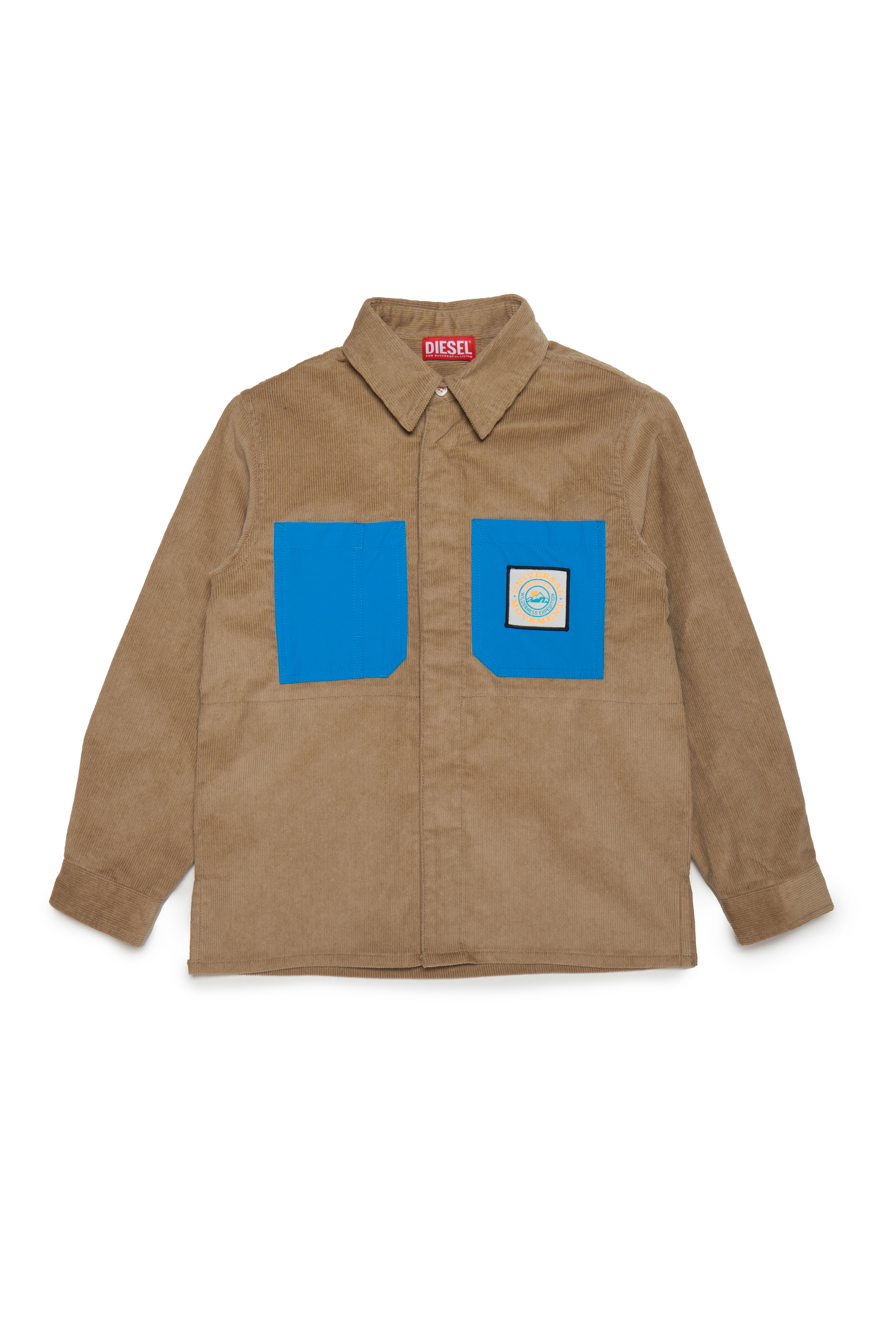 Diesel - CVALLI, Light Brown - Image 1