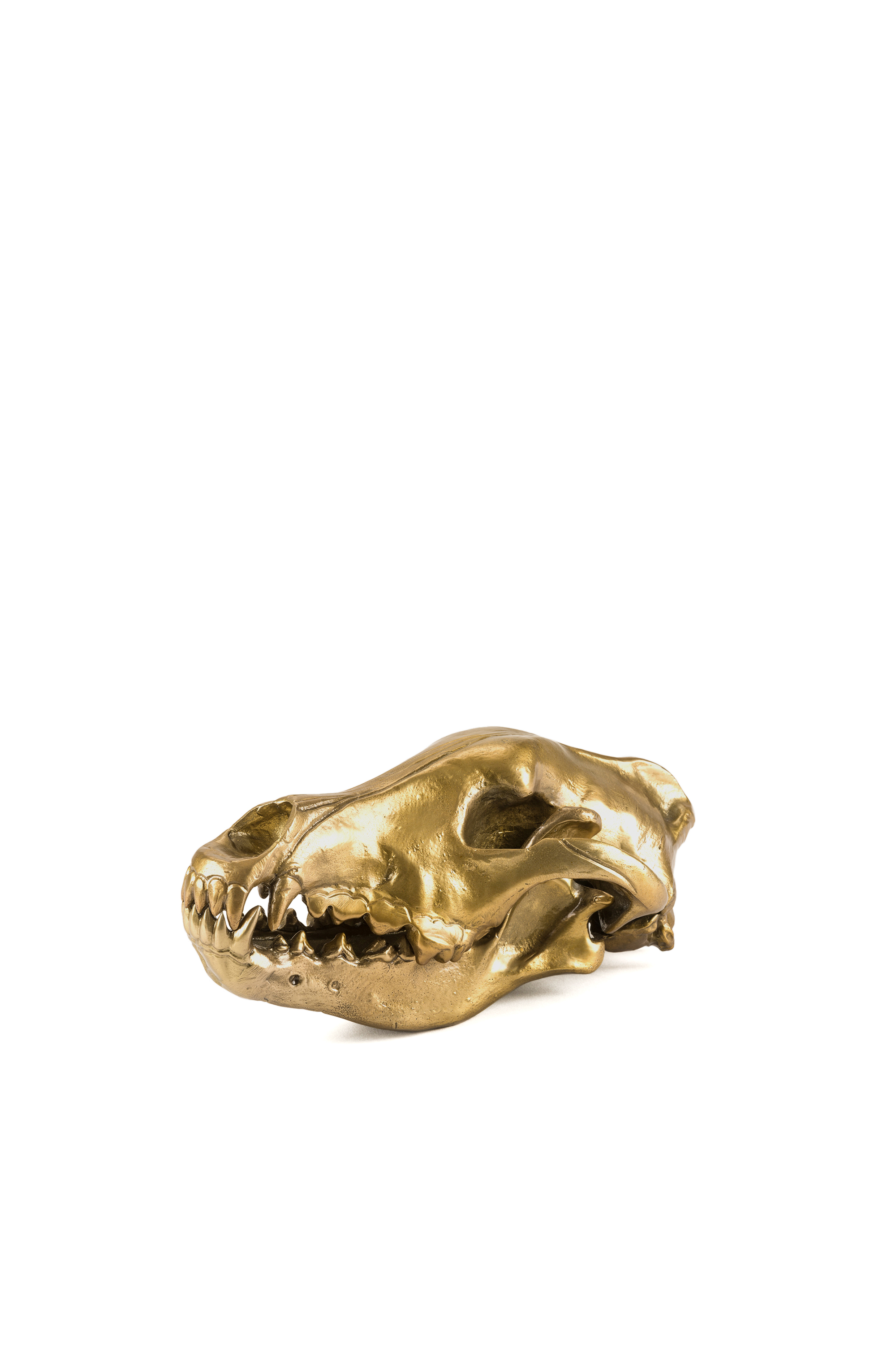 Diesel - 10892 Wunderkammer, Unisex's "Wolf This Way" Wunderkammer Wolf Skull in Gold - 1